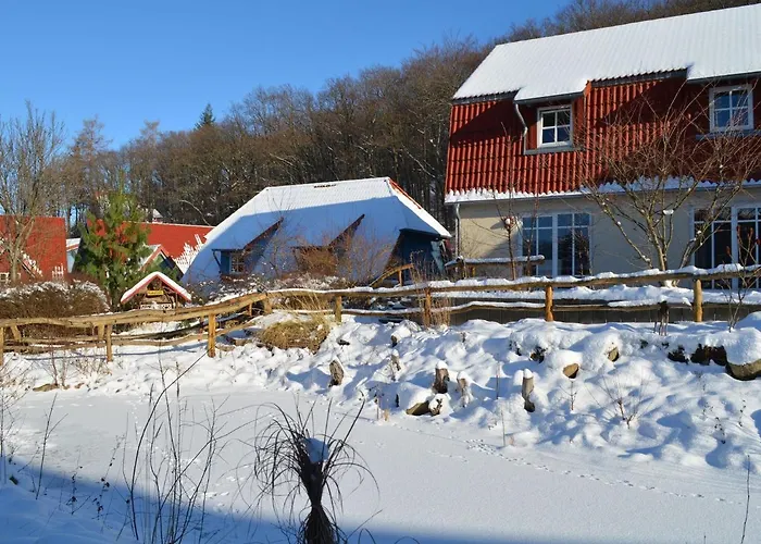 Holiday Home In Wernigerode With A Terrace